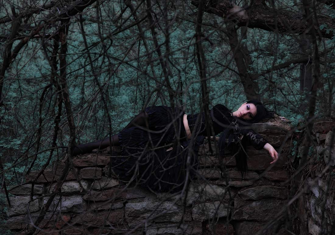 Forest Dreams